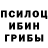 Псилоцибиновые грибы GOLDEN TEACHER Jason Hearne
