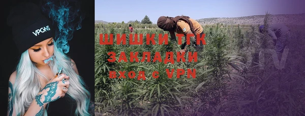 дживик Аркадак