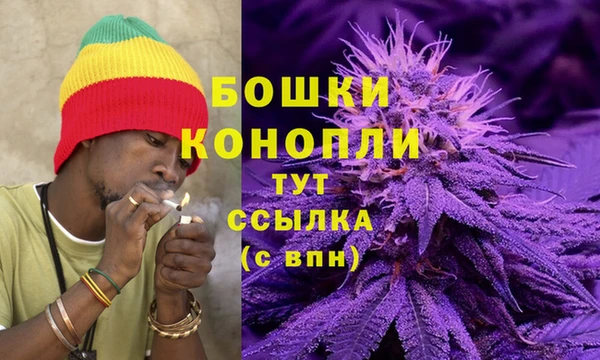 дживик Аркадак
